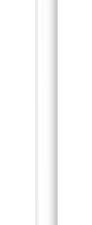 Apple Pencil (1st Generation)