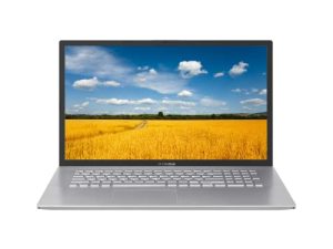 2022 ASUS Vivobook 17.3" HD+ Business Laptop