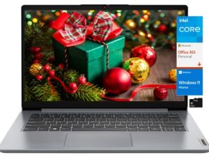 Lenovo IdeaPad 1i 14 Laptop