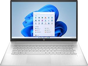HP 17.3" FHD Laptop