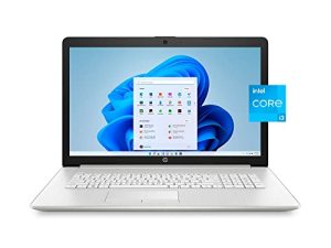 HP New 2022 17.3" FHD IPS Display