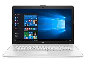 HP 17.3" Non-Touch Laptop Intel 10th Gen i5-10210U