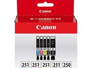 Canon PGI-250/ CLI-251 5 Color Amazon Pack