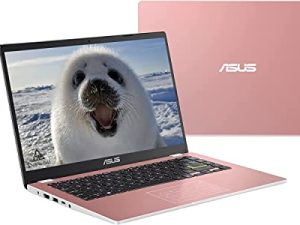 ASUS 2022 14" HD Laptop