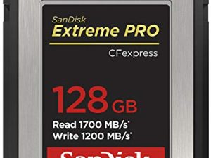 SanDisk 128GB Extreme PRO CFexpress Card Type B - SDCFE-128G-GN4NN