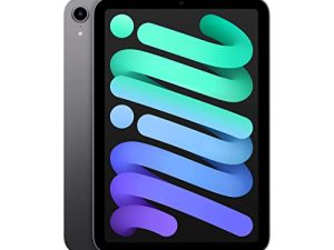 2021 Apple iPad Mini 6 (8.3 inch
