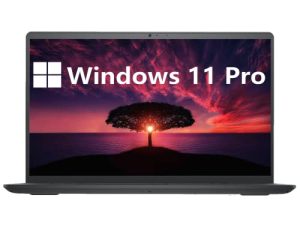 Dell Inspiron 3000 Business Laptop