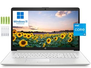 [Windows 11 Pro] HP 17 17.3" FHD Business Laptop